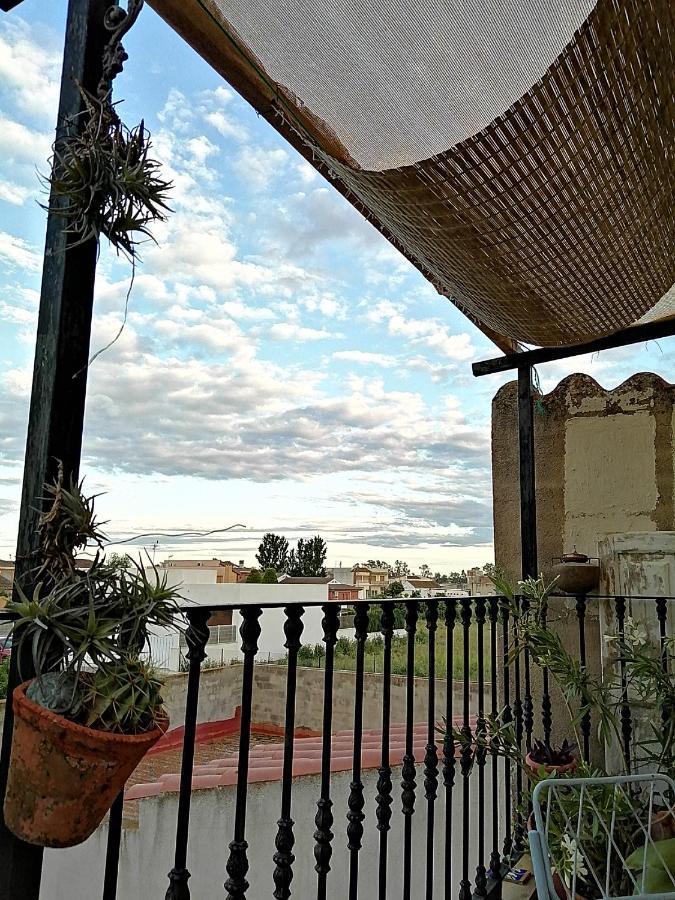 Can Ventura Deltebre Bagian luar foto