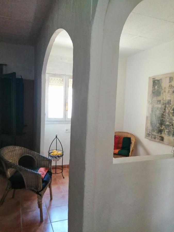 Can Ventura Deltebre Bagian luar foto